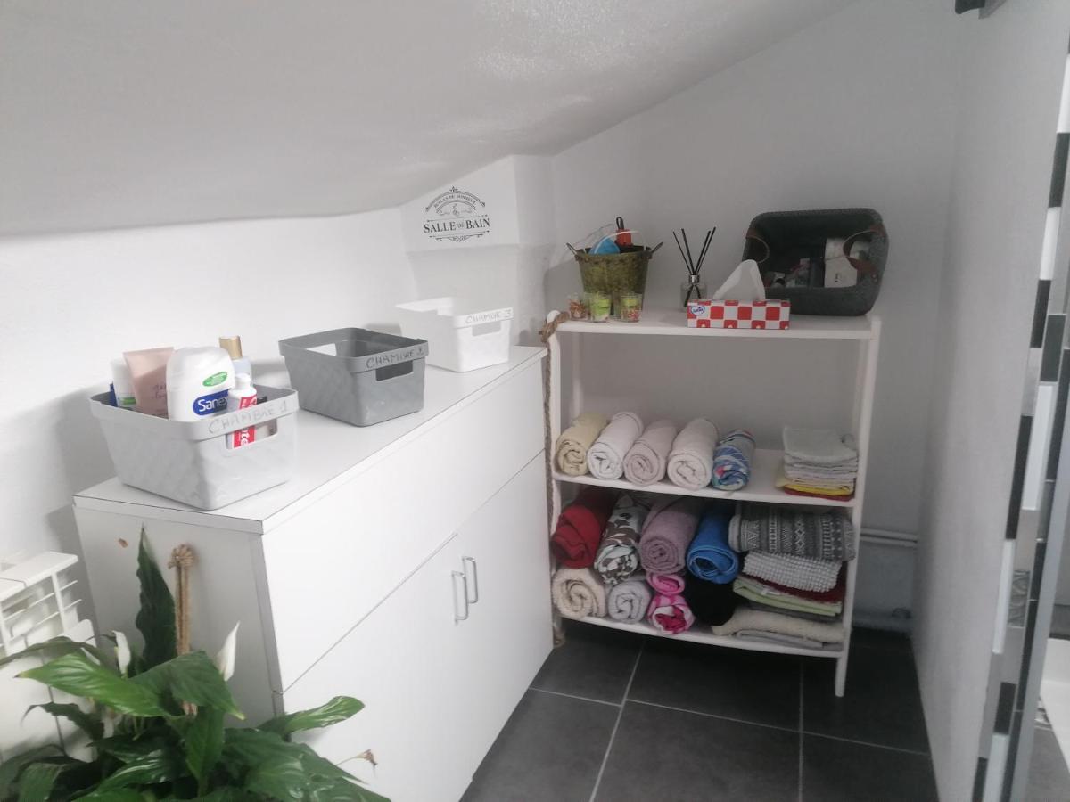 Chambre 23M2 Avec Jardin Wi-Fi Gratuit Saint-Girons Apartamento Exterior foto