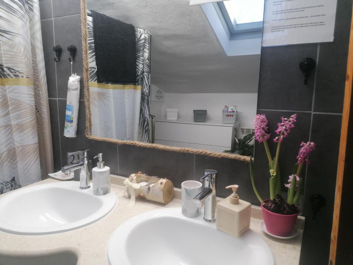 Chambre 23M2 Avec Jardin Wi-Fi Gratuit Saint-Girons Apartamento Exterior foto