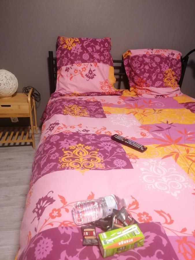 Chambre 23M2 Avec Jardin Wi-Fi Gratuit Saint-Girons Apartamento Exterior foto
