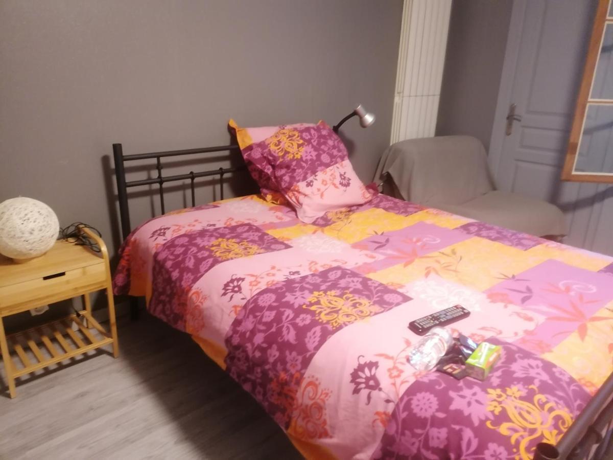 Chambre 23M2 Avec Jardin Wi-Fi Gratuit Saint-Girons Apartamento Exterior foto